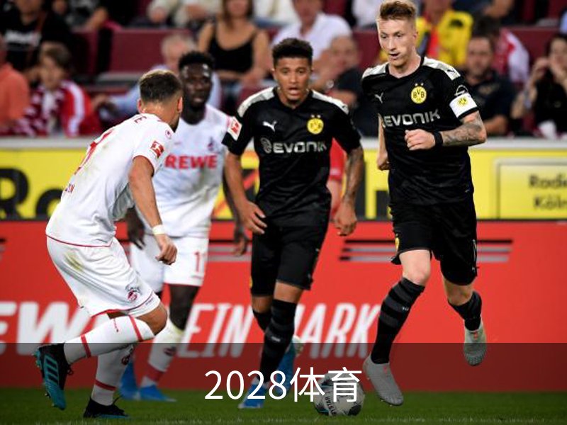 2028体育概况